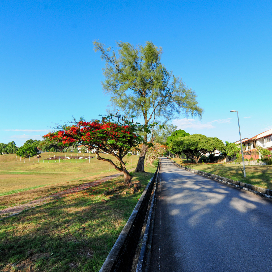 The road to a life-changing experience. Welcome to USM.